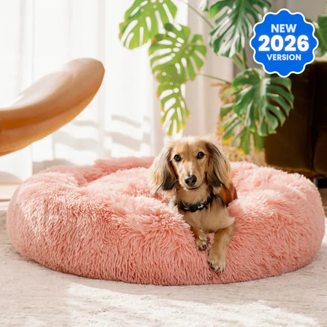 PawHaven™ Calming Donut Dog Bed