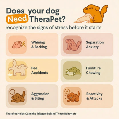 CalmPaws™ Dog Anxiety Relief Diffuser