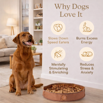 Sniffora™ Dog Feeder Mat