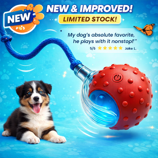 PlayPulse™ Smart Interactive Dog Toy