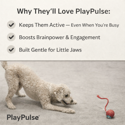 PlayPulse™ Smart Interactive Dog Toy