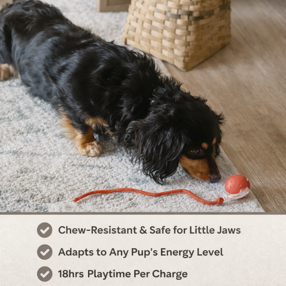 PlayPulse™ Smart Interactive Dog Toy